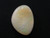 Solid White Opal Solid White Opal
