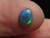 black opal
