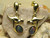 Golden Roos - Opal Triplet Earrings