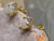 opal earrings