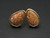 boulder opal earrings