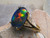 opal ring