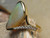 crystal opal ring