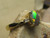 black opal ring