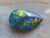 harlequin black opal