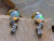 opal earrings