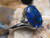 opal ring blue fire