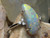 white opal ring