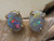 black opal earrings