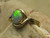 black opal ring