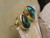 boulder opal earrings