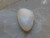 Opal white opal black opal crystal gemstone jewellery precious beautiful gorgeous gold silver diamond