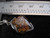 boulder opal pendant