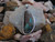 Shimmer Rocks - Boulder Opal Pendant Shimmer Rocks - Boulder Opal Pendant