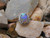 Crystal opal ring
