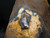 Rough Boulder Opal