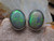 White opal earrings