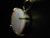 white opal pendant
