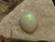 white opal