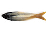 Fish Horn Comb Large 8.5" Hand Carved Black