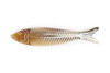 Sardine Fish Horn Comb Small Natural 5" Handmade