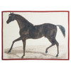 Stallion Tea Towel