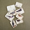Oyster Catcher Melamine Dresser Tray | Siren Song