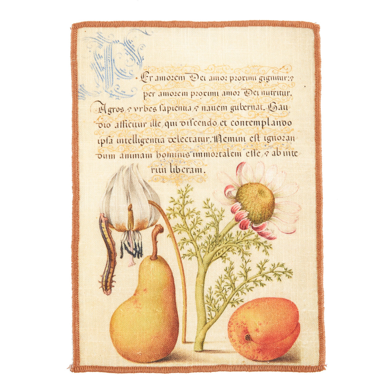 Siren Song Botanical Cocktail Napkins - Thumbnail 4