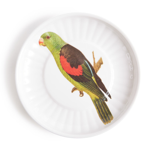 Parrot Small Paper Plates Melamine Set of 4