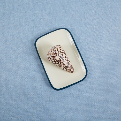 Carte de Visite Lacquer Tray – Marine | Hand-Lacquered Wood, 5" x 8"