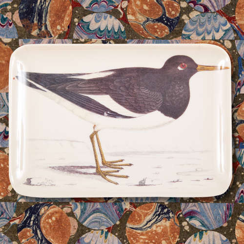 Oyster Catcher Melamine Dresser Tray | Siren Song