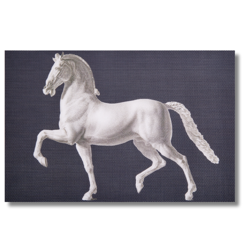 Siren Song Horse Sculpture Woven Vinyl Placemats – Set of 4