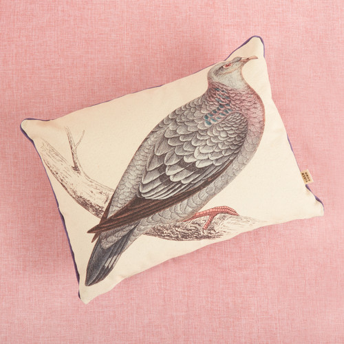 Rock Dove Vintage Canvas Pillow 12"x16" | Siren Song