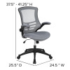 Flash Furniture Dark Gray Mesh Mid-Back Chair, Model# BL-X-5M-DKGY-GG 5