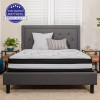 Flash Furniture Capri Comfortable Sleep 12in Pocket Mattress-Queen, Model# CL-E230P-R-Q-GG 2