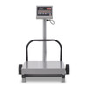 Torrey 5000 Lb. 5' x 5' Industrial Floor Scale, Model# PLP 5X5 2500/5000