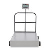 Torrey 800 Lb. Shipping & Receiving Mobile Scale, Model# EQM-400/800