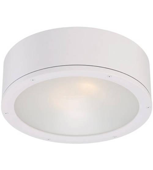 Tube Ceiling Mount 30W White