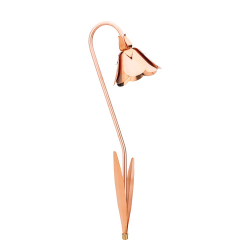 2136-CSN path and area light