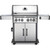 Rogue SE 525 RSIB Freestanding Gas Grill by Napoleon