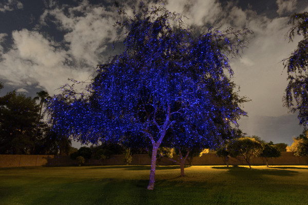 Sparkle Magic Indigo Blue Laser Light.