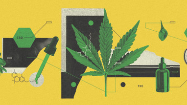 How Texans Are Getting Their Highs Legally—The Rise of Hemp THC