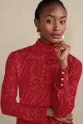 2fn13__red-dahlia_0