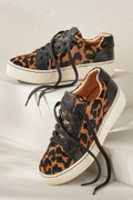 1dl00__leopard_0