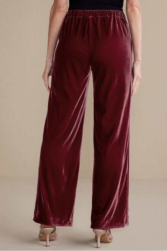 Aria Velvet Wide Leg Pants - thumbnail 4