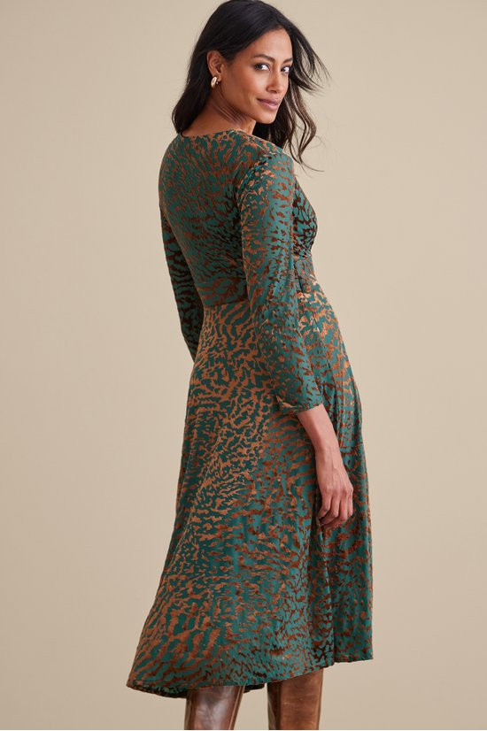 2fy85__multi-animal_3