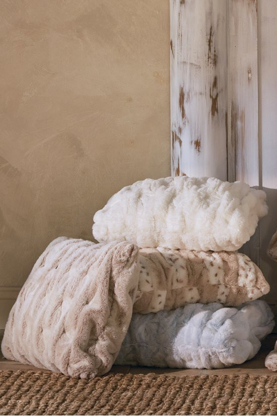 6bj47__tipped-arctic-fox_4