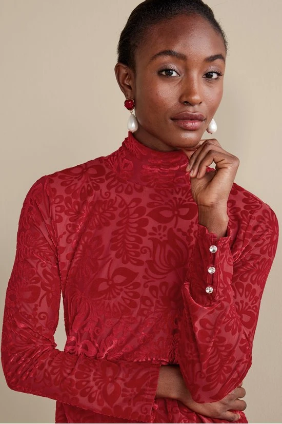 2fn13__red-dahlia_0