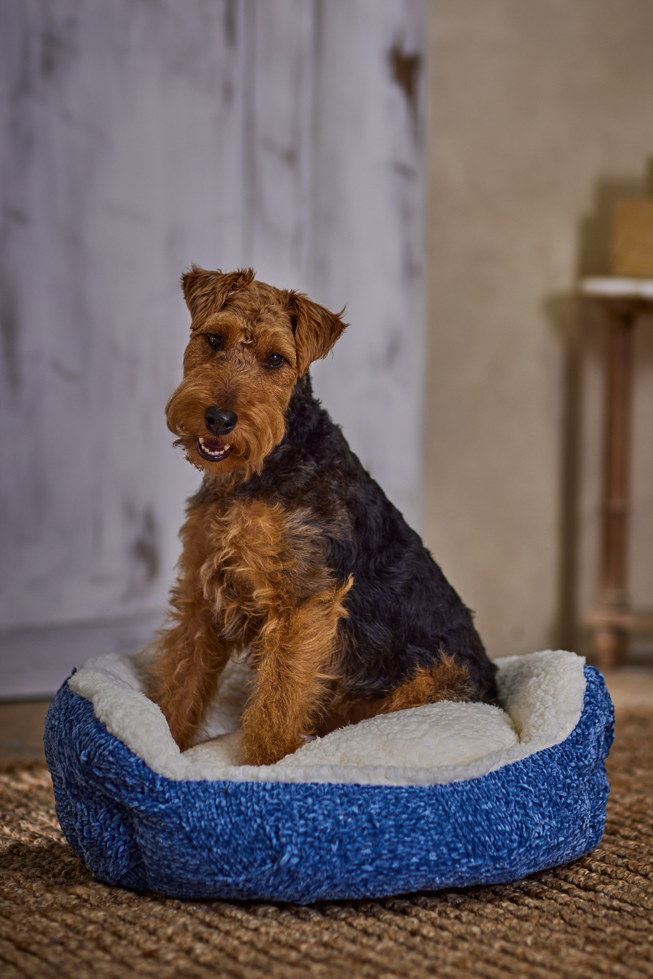 6bm13__moonlight-blue_3