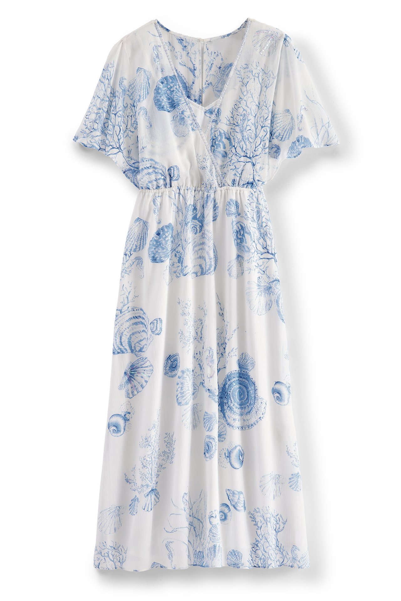 2gv71__blue-white-shells_1